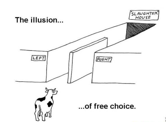 the-illusion-of-free-choice.jpg